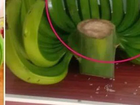 Ông bà dặn KHÔNG ghép 2 nải chuối đặt lên bàn thờ, sai phong thủy, dễ phạm đại kỵ